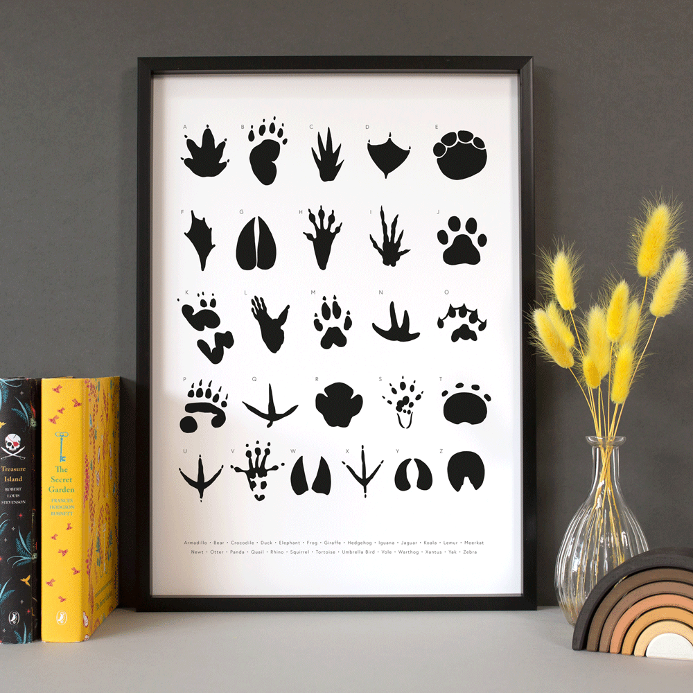 Animal Tracks Poster