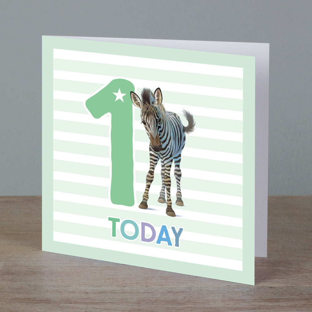 Square birthday card with zebra in front of ‘1 today’ pale green colour